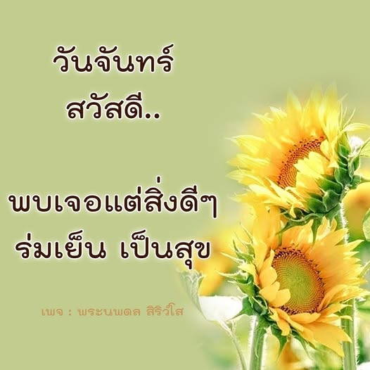 การ์ด No.12324:ภาพสวัสดียามเช้า