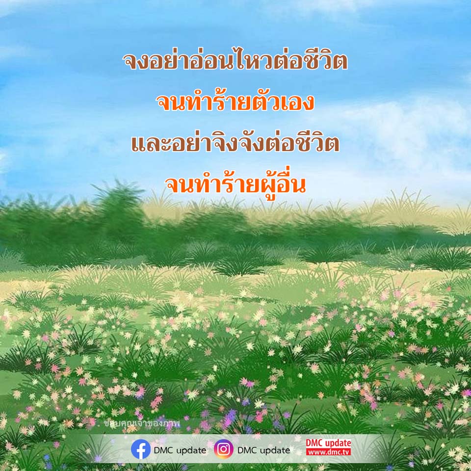 ภาพ No.16714:ทั่วไป