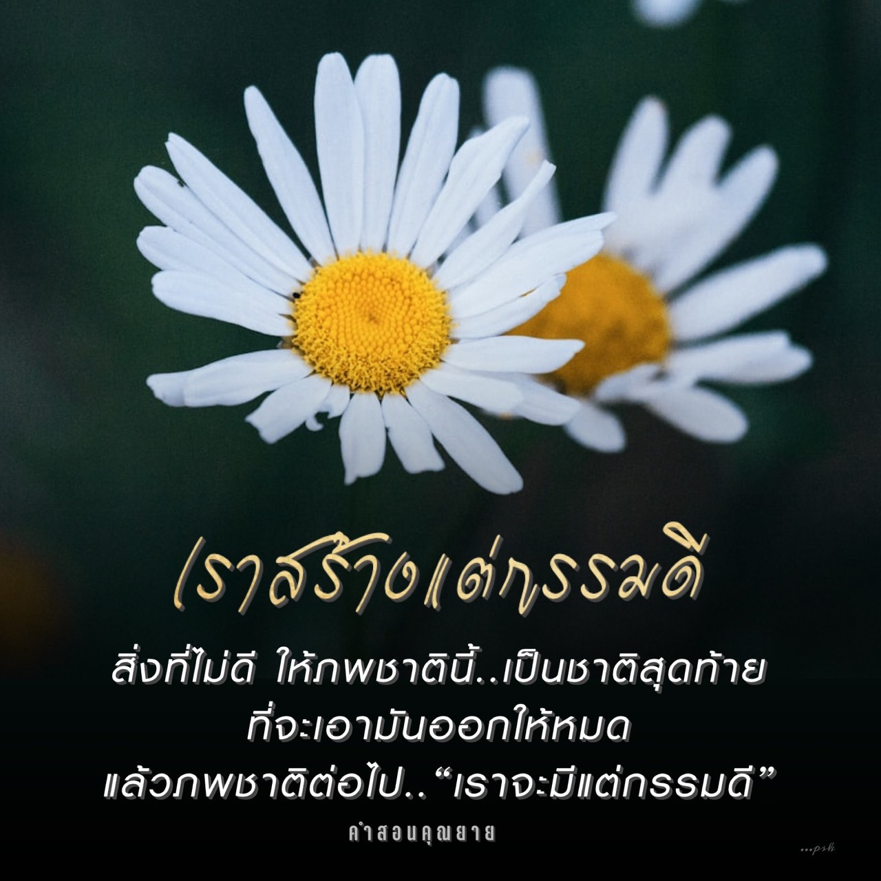 เรียนรู้จากคำสอนของคุณยายเกี่ยวกับการปล่อยวางกรรมไม่ดีในชาตินี้ เพื่อเตรียมตัวสู่การมีกรรมดีในภพชาติต่อไป มาร่วมกันสร้างอนาคตที่สดใสด้วยการทำความดีในทุกวัน