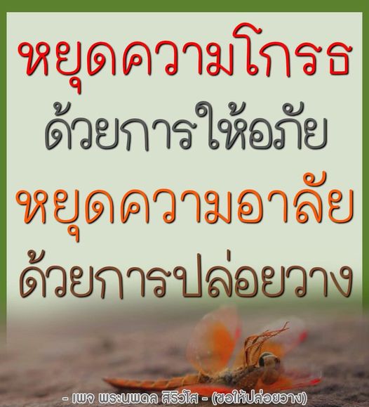 การ์ด No.10926:พระนพดล สิริวํโส