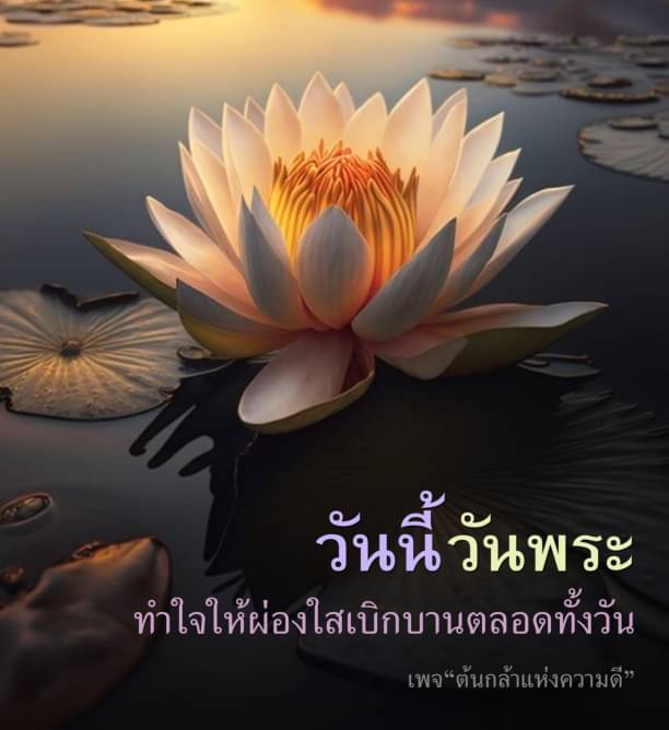 การ์ด No.9066:วันพระ