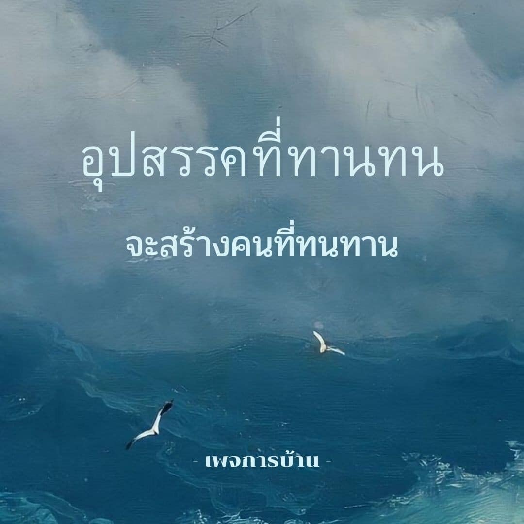 ภาพ No.17483:ทั่วไป