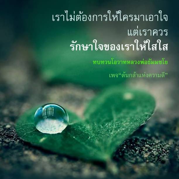 วิธีรักษาใจให้ใสใส ตามคำแนะนำจากหลวงพ่อธัมมชโย
