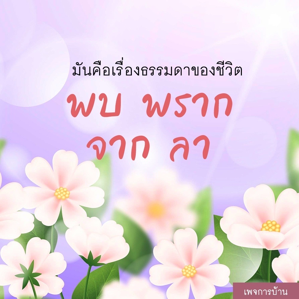 การ์ด No.7123:กำลังใจให้คุณ