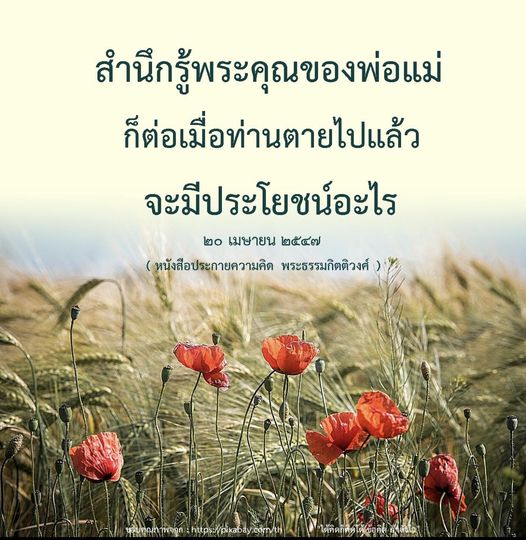 บทความนี้สำรวจความสำคัญของการสำนึกรู้พระคุณต่อพ่อแม่ พร้อมเสนอแนวทางในการแสดงออกความรักและความกตัญญูในชีวิตประจำวัน เพื่อไม่ให้ต้องรู้สึกเสียดายเมื่อสูญเสียท่านไป
