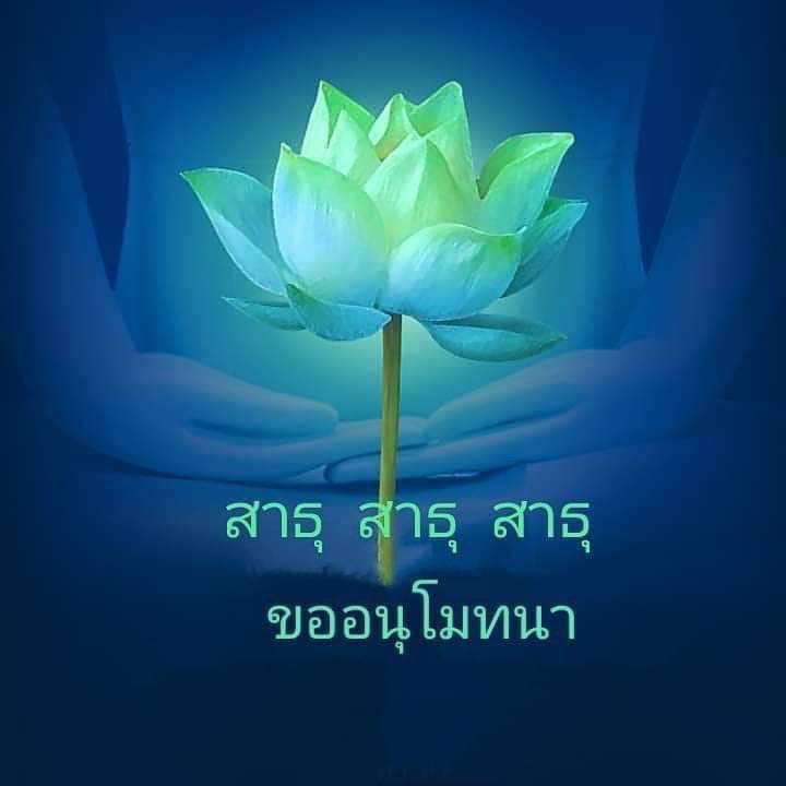 การ์ด No.14556:ทั่วไป