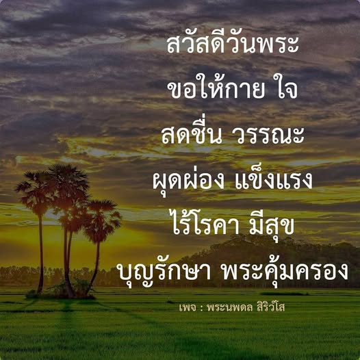ร่วมส่งความสุขในวันพระด้วยการสร้างความสดชื่นให้กับกายและใจ พร้อมขอพรให้มีสุขภาพแข็งแรง ไร้โรคา และได้รับการคุ้มครองจากพระนพดล สิริวโส