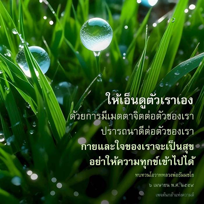 เรียนรู้การเอ็นดูตัวเองผ่านการมีเมตตาจิตและการปรารถนาดีต่อตนเอง เพื่อให้กายและใจมีความสุข และไม่ให้ความทุกข์เข้ามาในชีวิต ด้วยการทบทวนโอวาทจากหลวงพ่อธัมมชโย.