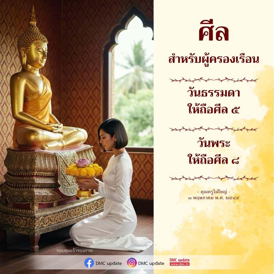 ภาพ No.16929:ทั่วไป