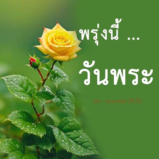 การ์ด No.8875:วันพระ