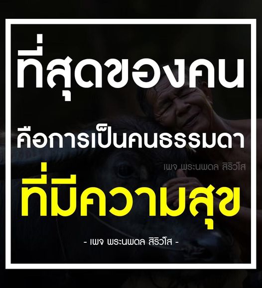 การ์ด No.9222:พระนพดล สิริวํโส