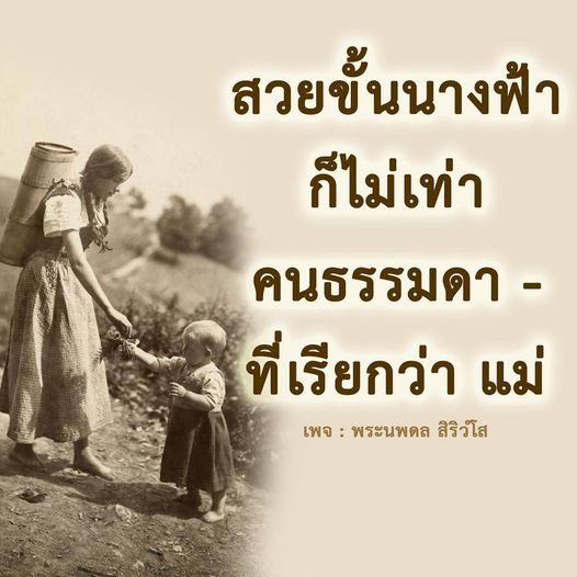 การ์ด No.8553:พระนพดล สิริวํโส