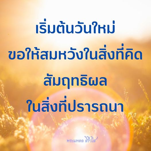 การ์ด No.9654:ภาพสวัสดียามเช้า