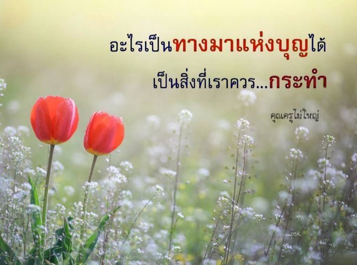 การ์ด No.10416:คำสอนหลวงพ่อธัมมชโย