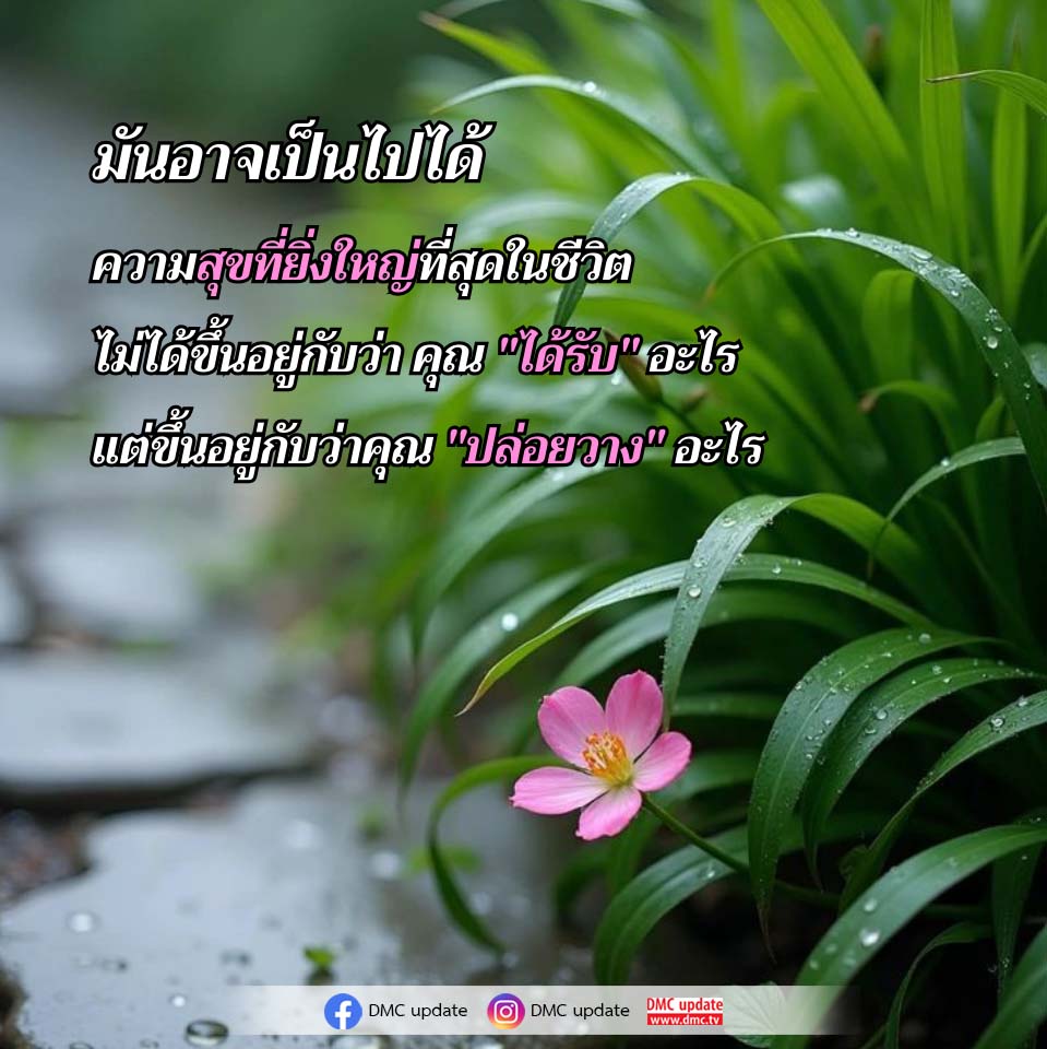 ความสุขที่ยิ่งใหญ่ที่สุดในชีวิต: การปล่อยวางเพื่อความสุขที่แท้จริง