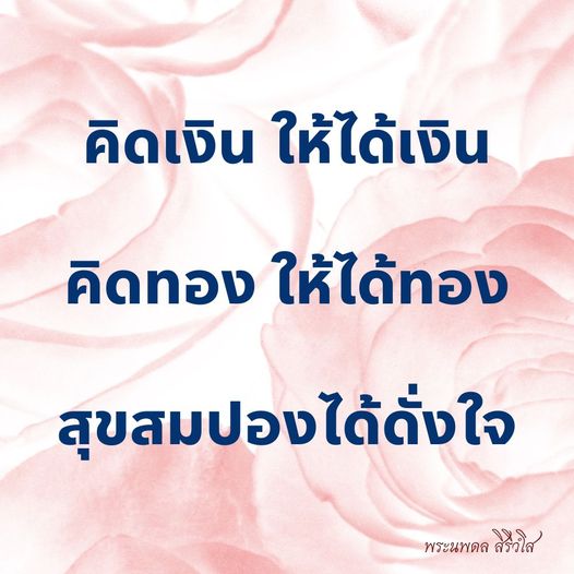 การ์ด No.10163:พระนพดล สิริวํโส