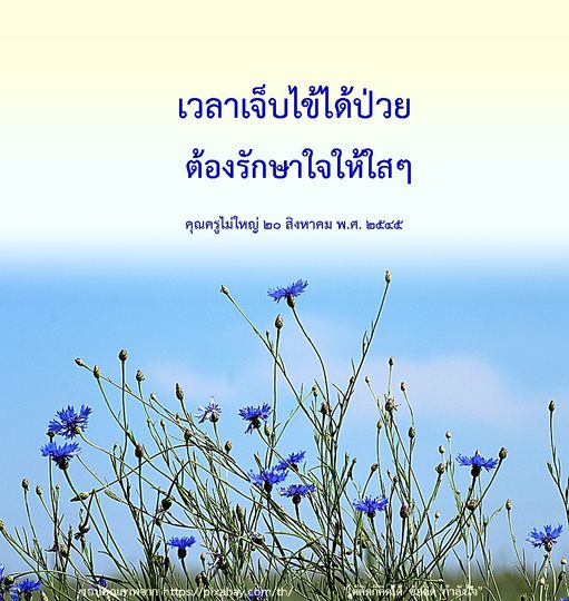 การ์ด No.9819:คำสอนหลวงพ่อธัมมชโย