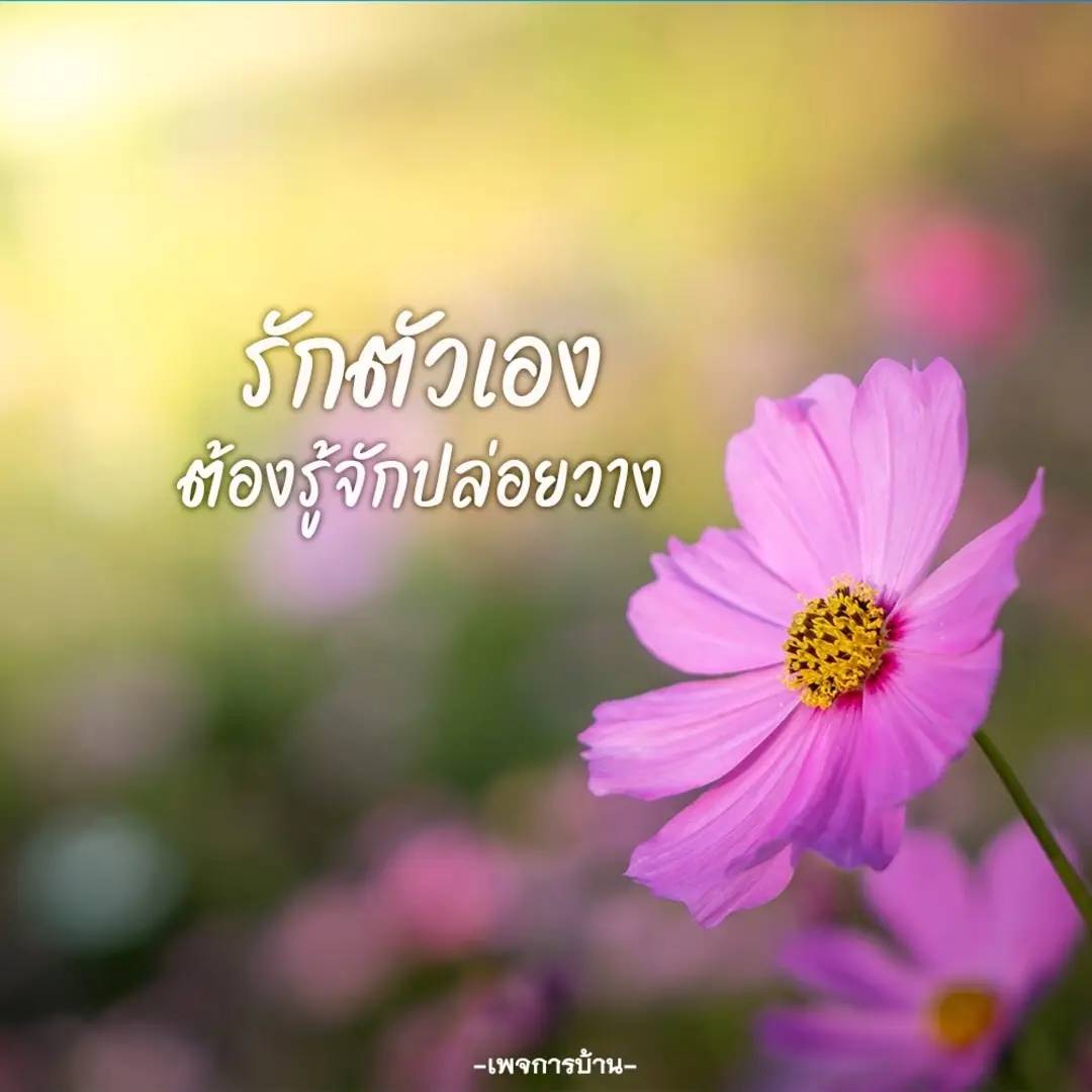 การ์ด No.8276:คติคำคม ข้อคิดสอนใจ