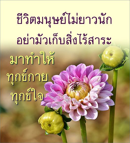 การ์ด No.10507:กำลังใจให้คุณ