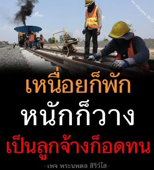 การ์ด No.11921:พระนพดล สิริวํโส