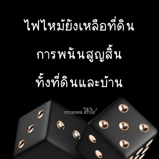 การ์ด No.8617:พระนพดล สิริวํโส
