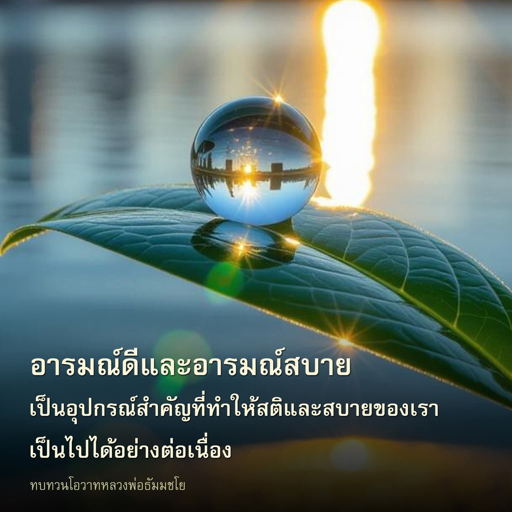 อารมณ์ดีและอารมณ์สบาย: เคล็ดลับสู่ความสุขจากโอวาทหลวงพ่อธัมมชโย