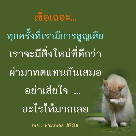 เชื่อเถอะว่าทุกครั้งที่เราประสบการสูญเสีย จะมีโอกาสใหม่ที่ดีกว่าเข้ามาเสมอ อย่าเสียใจมากเกินไป เพราะชีวิตมีการเปลี่ยนแปลงที่นำมาซึ่งความหวังและการเริ่มต้นใหม่ที่น่าตื่นเต้น