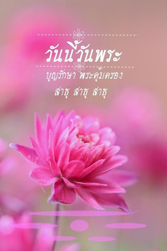 ภาพ No.16483:วันพระ