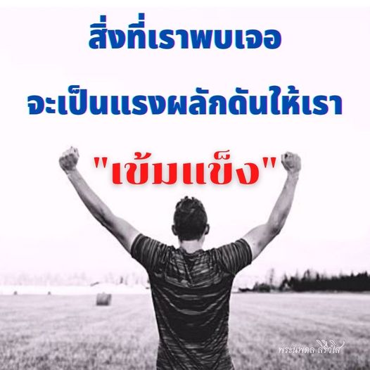 การ์ด No.11219:พระนพดล สิริวํโส