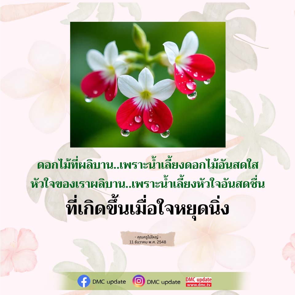 ดอกไม้ที่ผลิบาน: น้ำเลี้ยงหัวใจอันสดชื่น