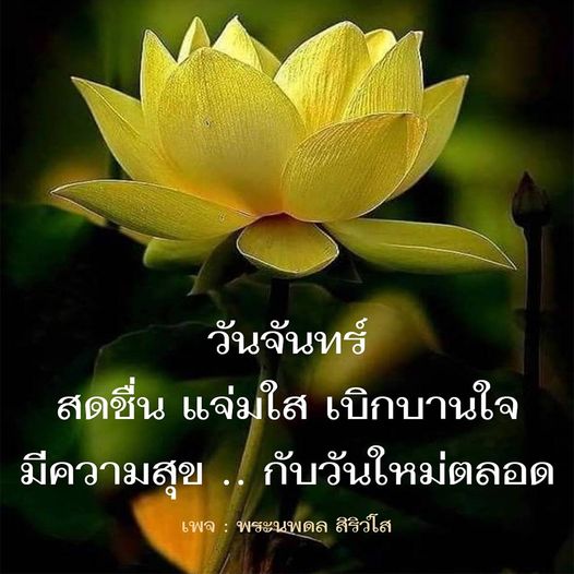 การ์ด No.8380:ภาพสวัสดียามเช้า