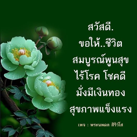 การ์ด No.8427:ภาพสวัสดียามเช้า