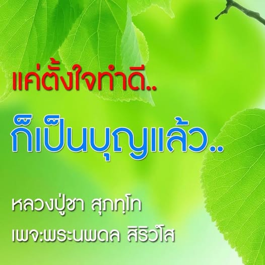 การ์ด No.14478:คำสอนพระอาจารย์