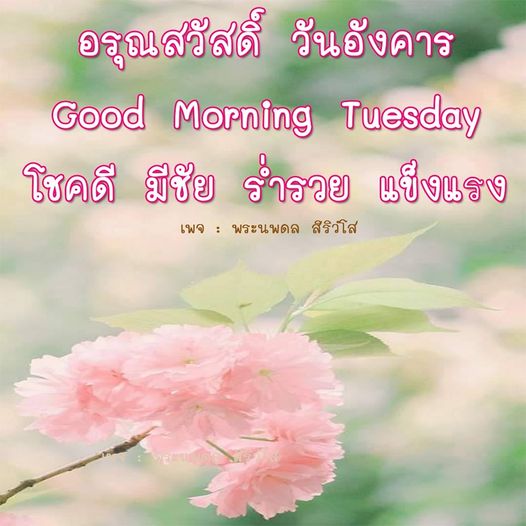 การ์ด No.8738:ภาพสวัสดียามเช้า