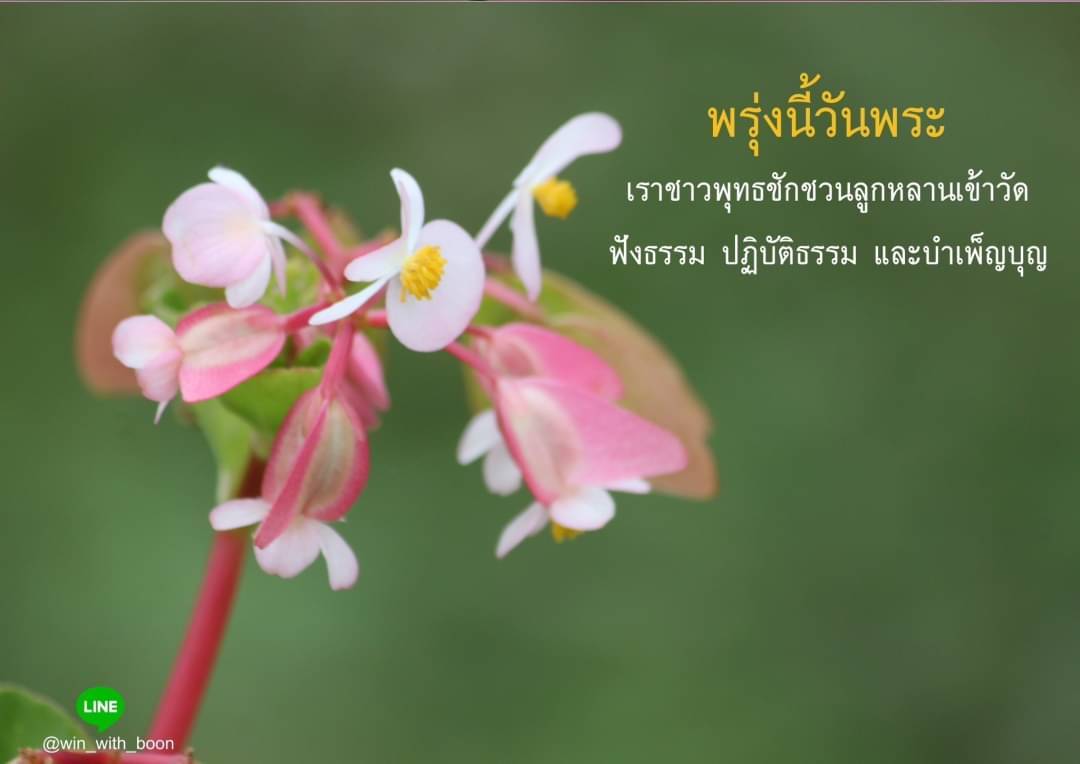 อีการ์ดวันนี้วันพระ พรุ่งนี้วันพระ วันพระรักษาศีล เข้าวัดปฏิบัติธรรม ศึกษาธรรมะ