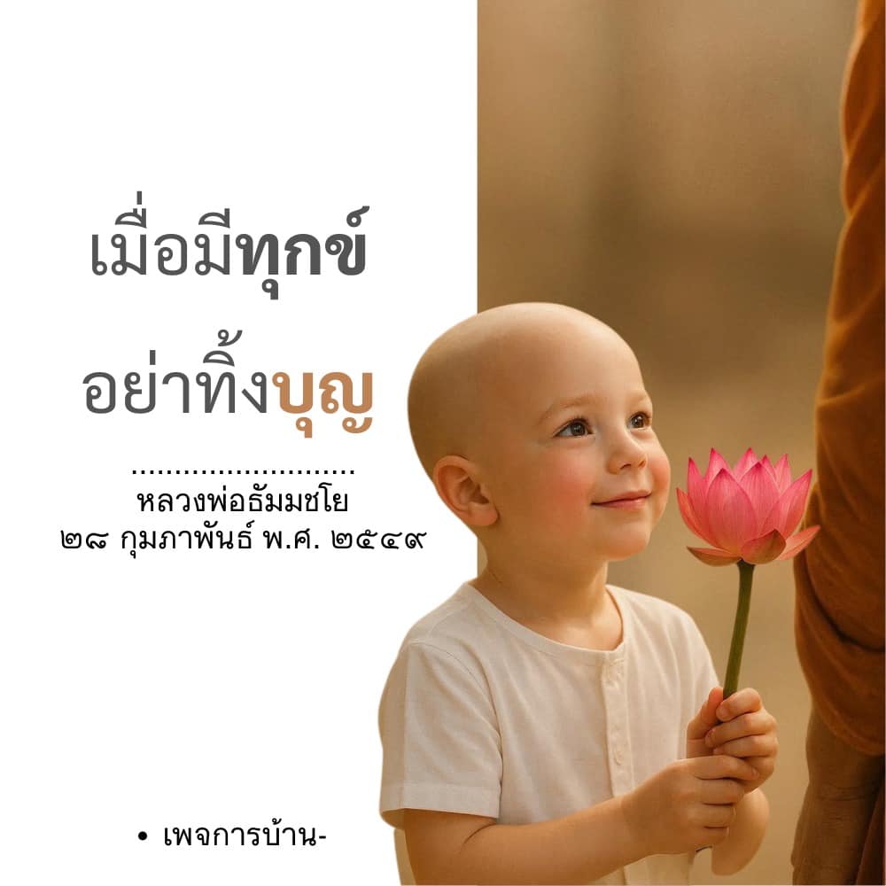 ภาพ No.16744:ทั่วไป