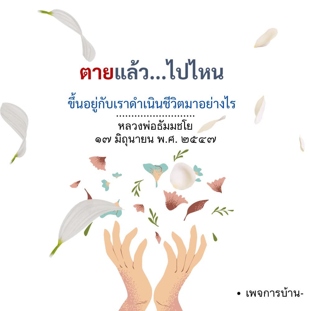 ภาพ No.16630:ทั่วไป