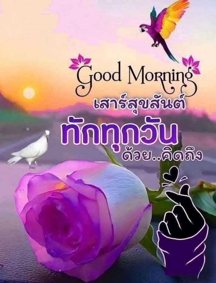 ภาพ No.17308:ทั่วไป