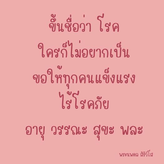 การ์ด No.8975:พระนพดล สิริวํโส