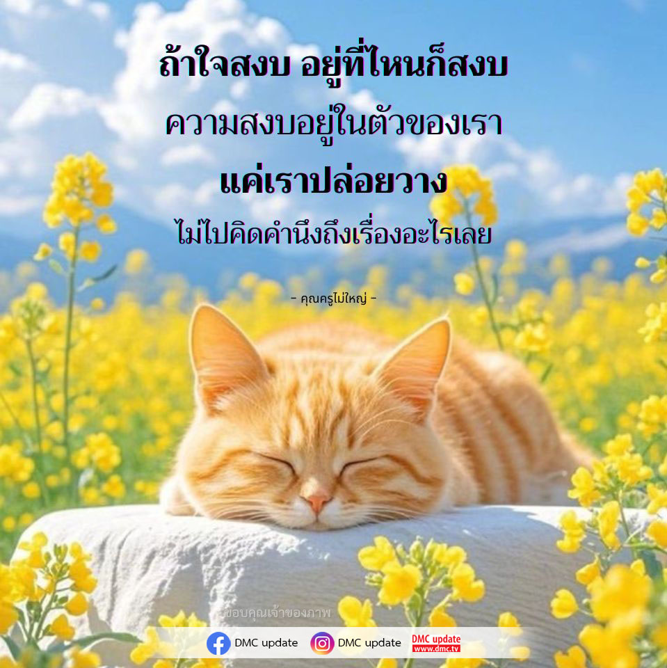 ค้นพบวิธีการสร้างความสงบในใจและการปล่อยวางจากความคิดที่ไม่จำเป็น ผ่านคำสอนของคุณครูไม่ใหญ่ และอัปเดตจาก DMC ที่จะช่วยให้คุณค้นพบความสุขในชีวิตประจำวัน