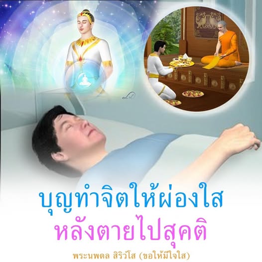 การ์ด No.12406:พระนพดล สิริวํโส