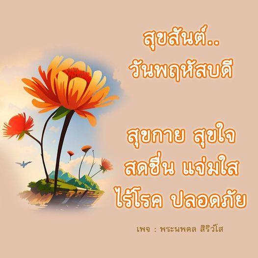 การ์ด No.9345:ภาพสวัสดียามเช้า