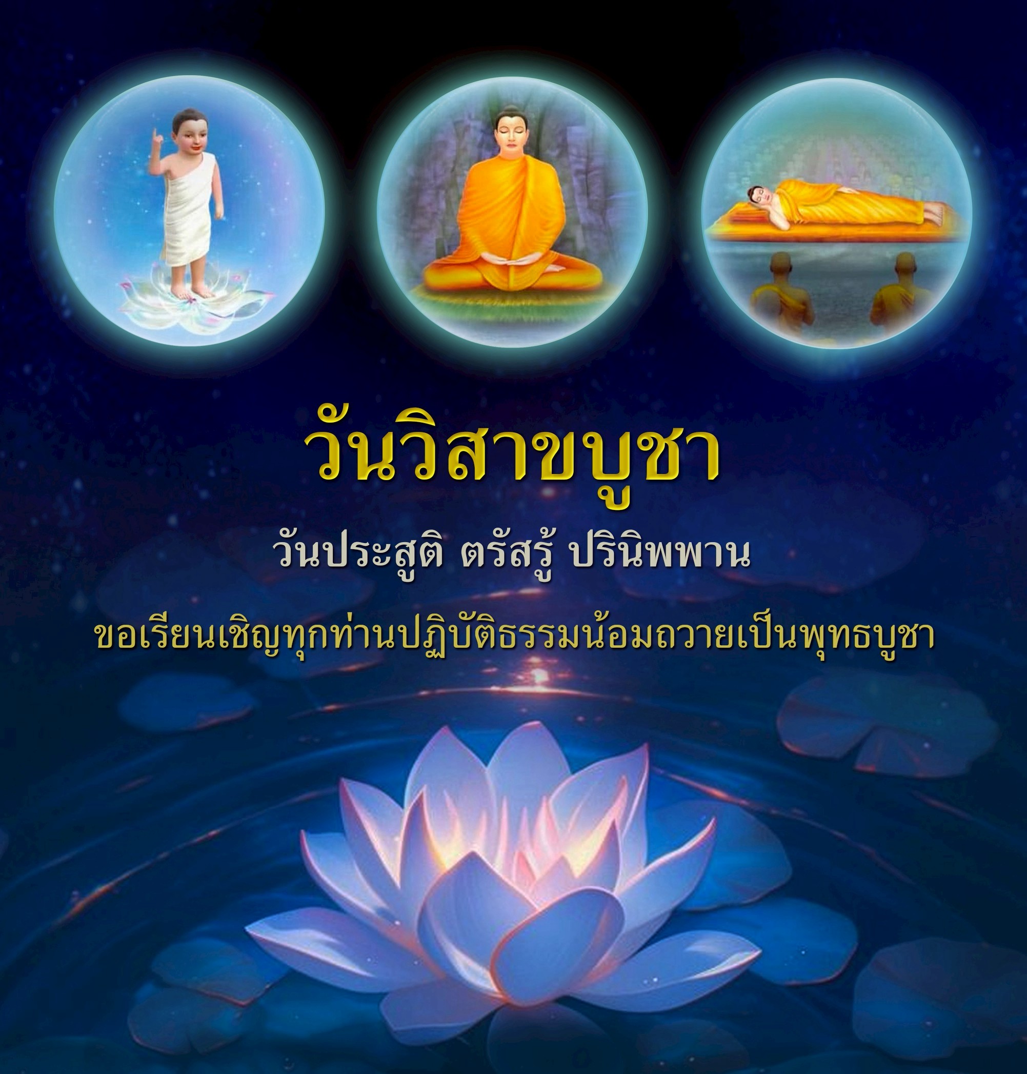 ภาพ No.17977:undefined