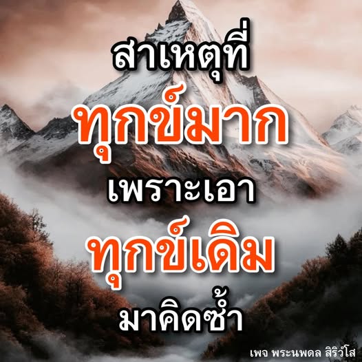 การ์ด No.14440:พระนพดล สิริวํโส