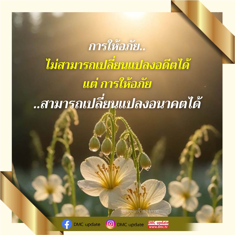 ภาพ No.16771:ทั่วไป
