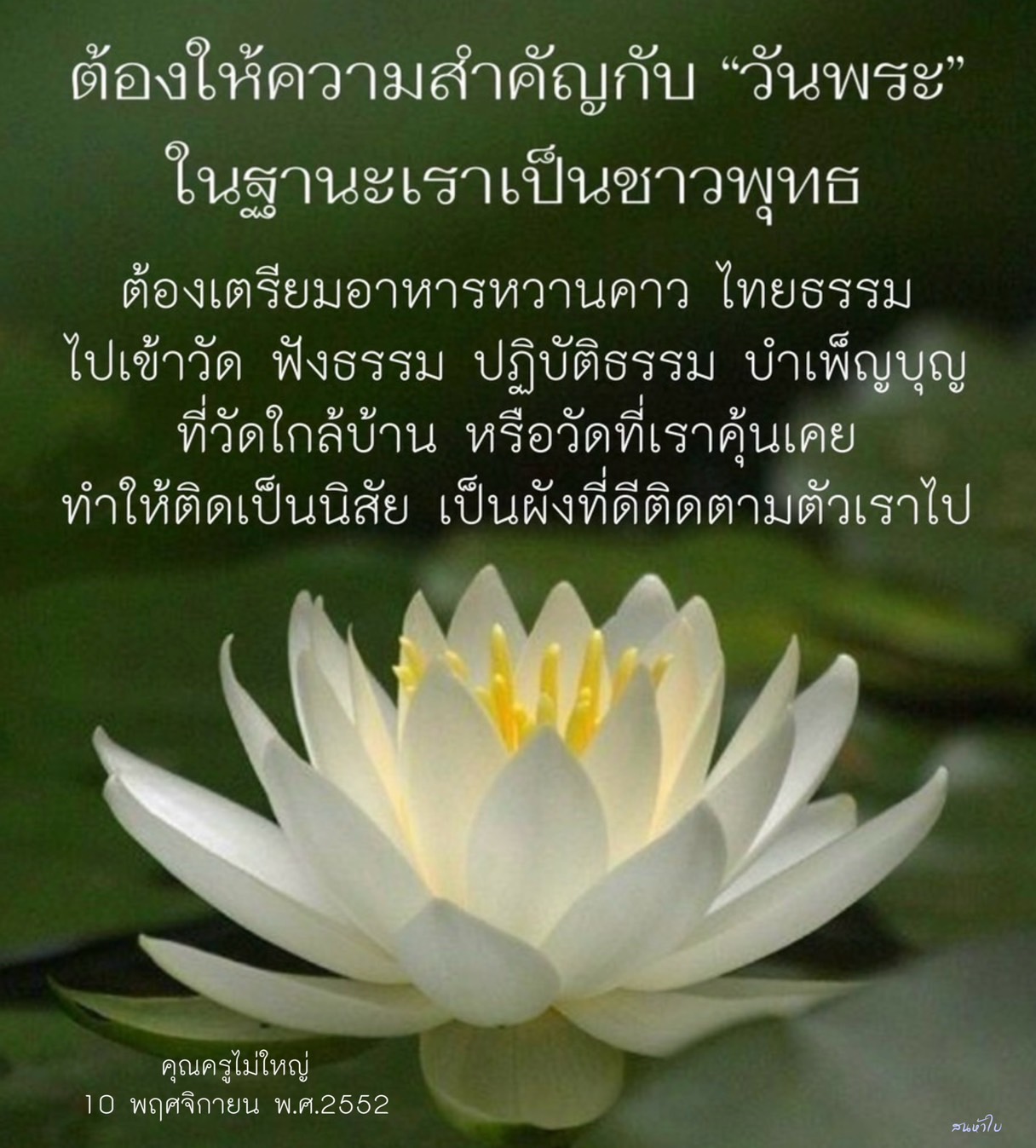 วันพระ: เตรียมอาหารหวานคาว ไทยธรรม และบำเพ็ญบุญที่วัด