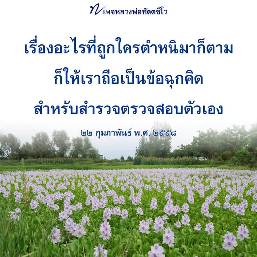 สำรวจข้อคิดจาก 7 เพจหลวงพ่อทัตตชีโว ที่ให้เราได้คิดและตรวจสอบตัวเองในวันที่ถูกตำหนิ ค้นพบแนวทางในการพัฒนาตนเองจากคำสอนที่มีคุณค่า.