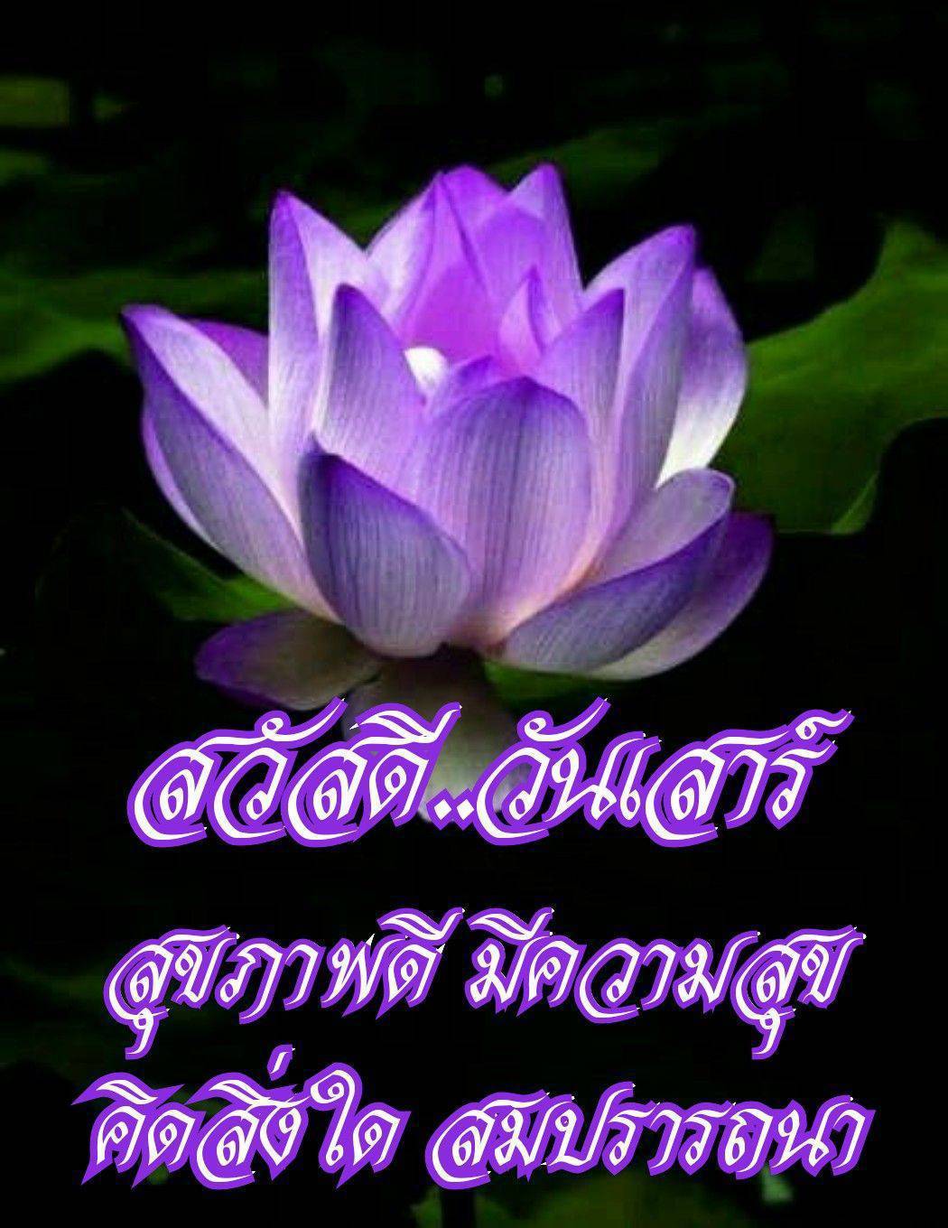 การ์ดคำสอนในพระพุทธศาสนา ทั่วไป