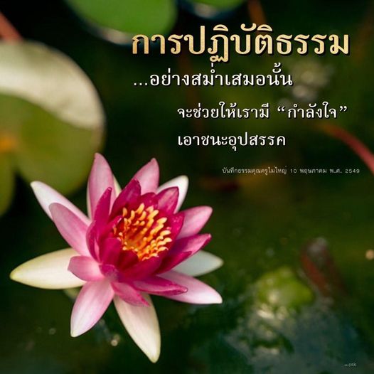 การปฏิบัติธรรมอย่างสม่ำเสมอสามารถช่วยเสริมสร้างกำลังใจในการเผชิญกับอุปสรรคในชีวิต พร้อมบันทึกธรรมจากคุณครูไม่ใหญ่ในวันที่ 10 พฤษภาคม พ.ศ. 2549