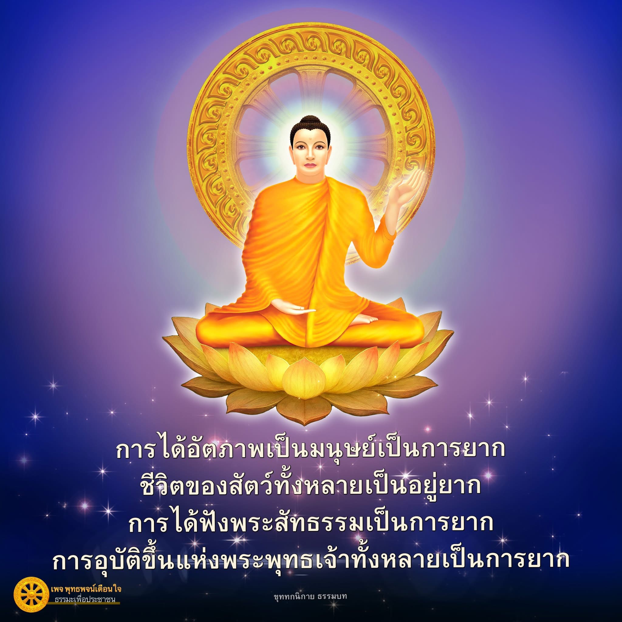 ภาพ No.16592:ทั่วไป